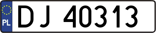 DJ40313