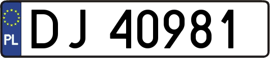DJ40981