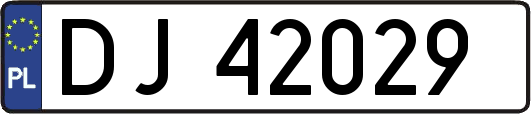 DJ42029
