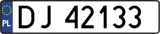 DJ42133