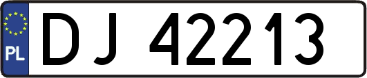 DJ42213