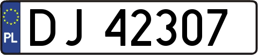 DJ42307