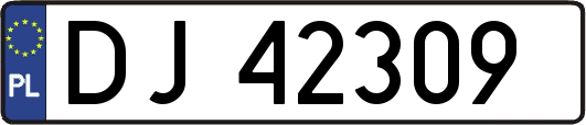 DJ42309