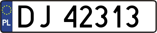 DJ42313