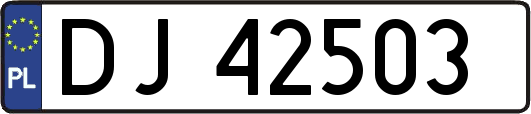 DJ42503