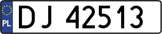 DJ42513