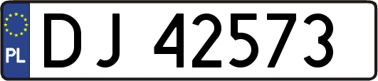 DJ42573