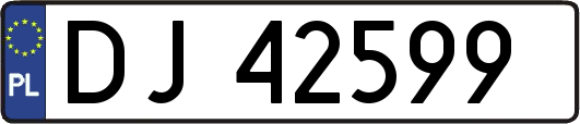 DJ42599