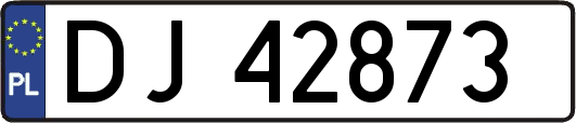 DJ42873