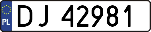 DJ42981