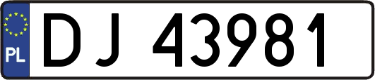 DJ43981