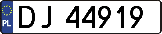 DJ44919