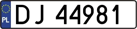 DJ44981