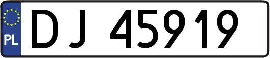 DJ45919
