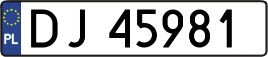 DJ45981