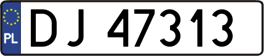 DJ47313