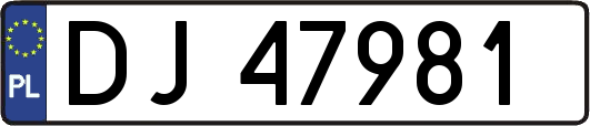 DJ47981
