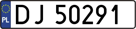 DJ50291