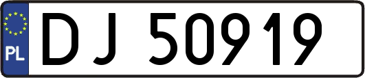 DJ50919