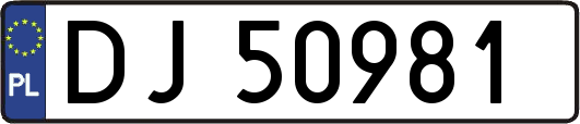 DJ50981