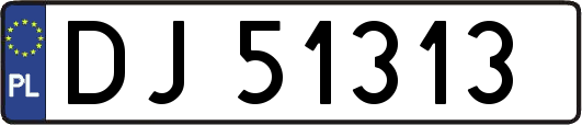 DJ51313