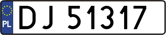 DJ51317