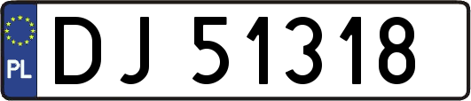 DJ51318