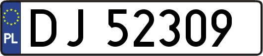DJ52309