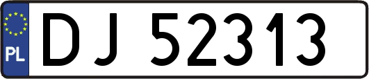 DJ52313