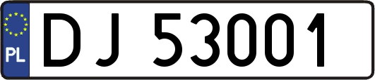 DJ53001