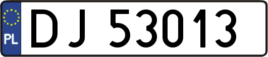 DJ53013