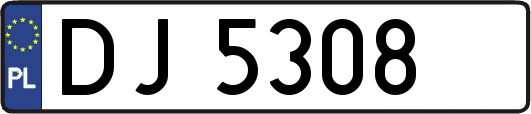DJ5308