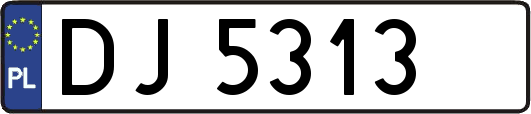 DJ5313