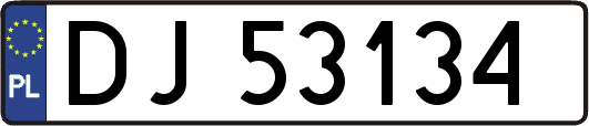 DJ53134