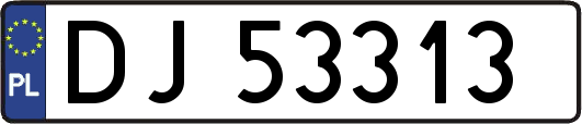 DJ53313