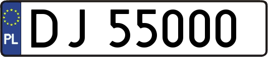 DJ55000