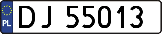 DJ55013