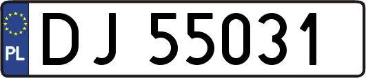 DJ55031