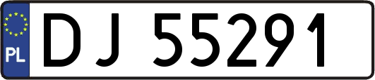 DJ55291