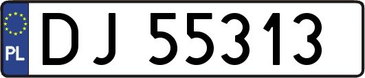 DJ55313