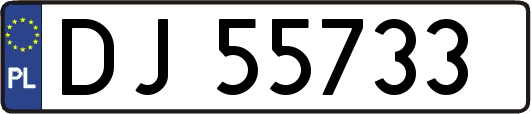 DJ55733