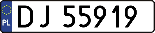DJ55919