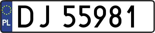 DJ55981