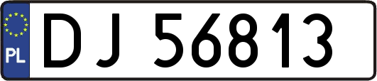 DJ56813