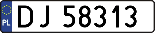 DJ58313