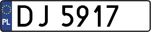 DJ5917