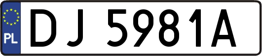 DJ5981A