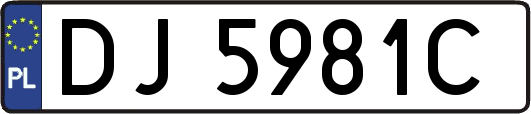 DJ5981C