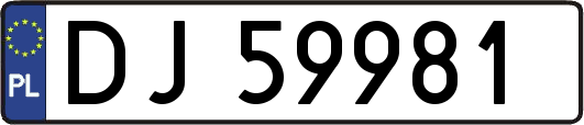 DJ59981