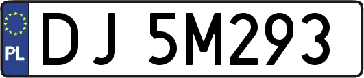 DJ5M293